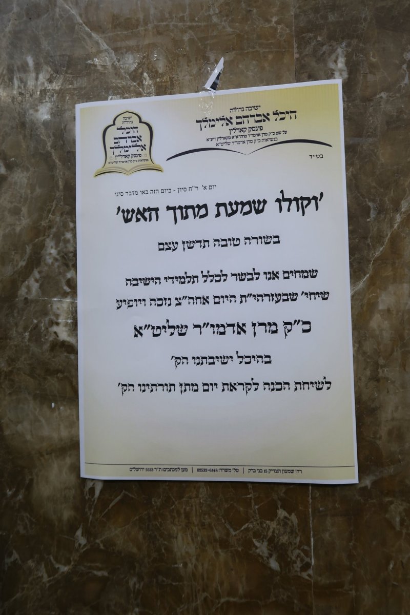 שימי פ.