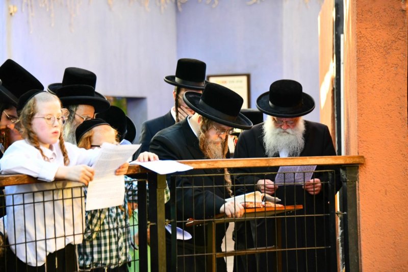 שוקי לרר