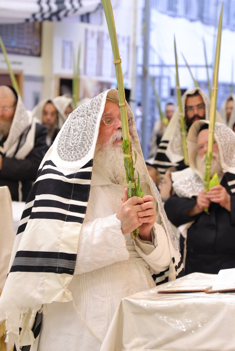 באדיבות המצלם