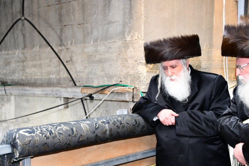 שוקי לרר