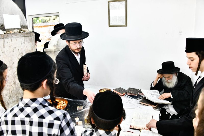 שוקי לרר