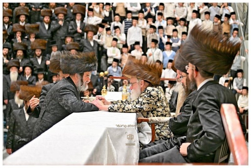 יהושע פרוכטר