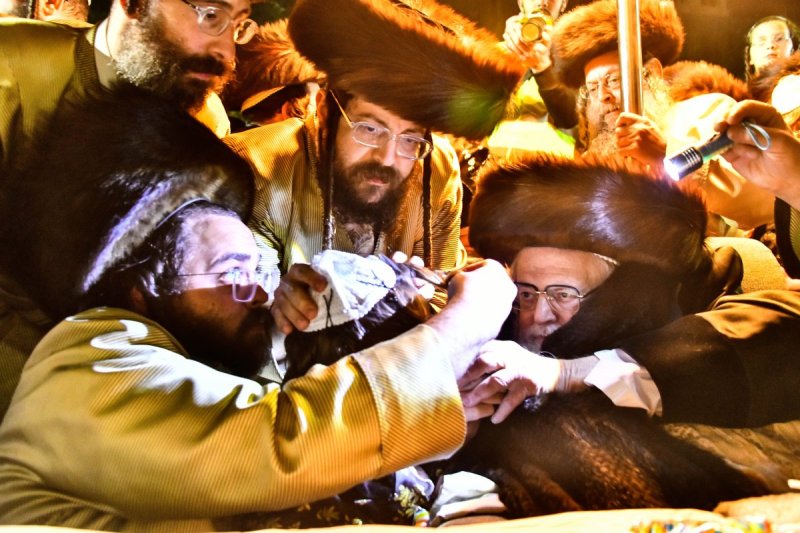 שוקי לרר