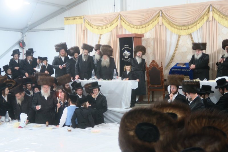 מ. אדלר