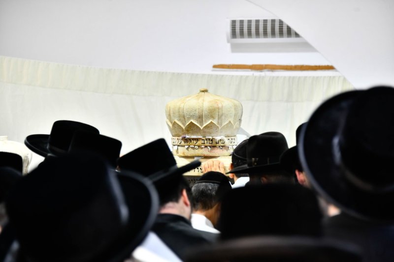 שוקי לרר