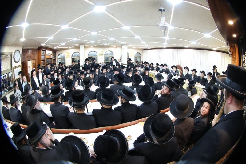 שלומי טריכטר