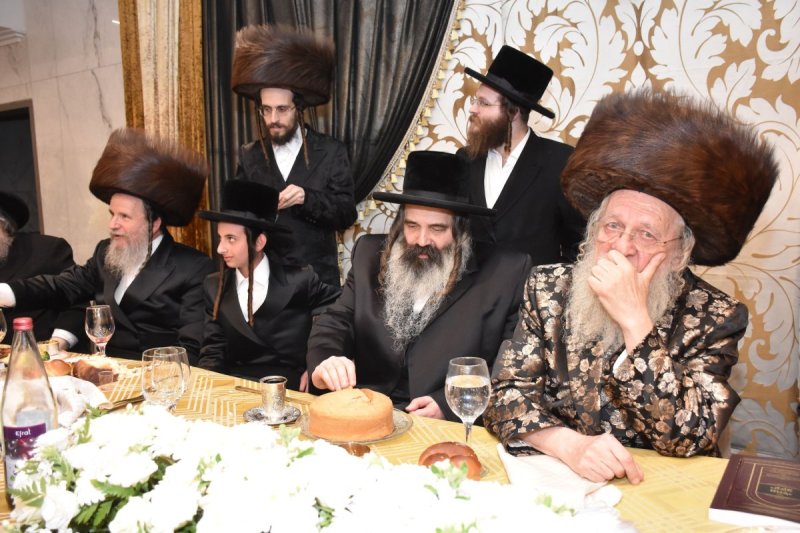 יהודה פרקוביץ