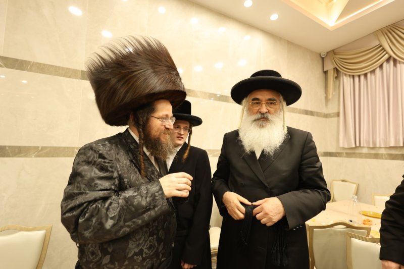 נתי אמרגי