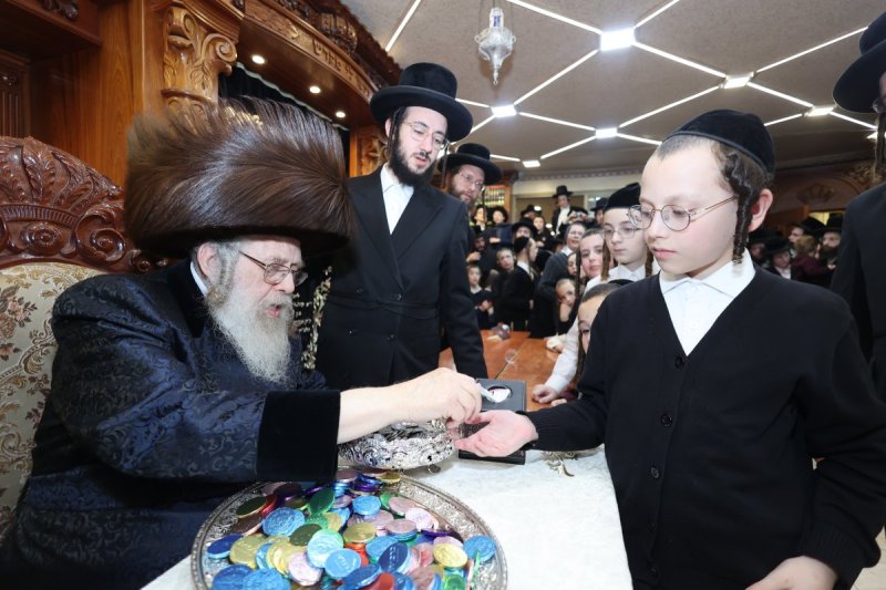 שלומי טריכטר