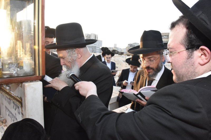 יהודה פרקוביץ