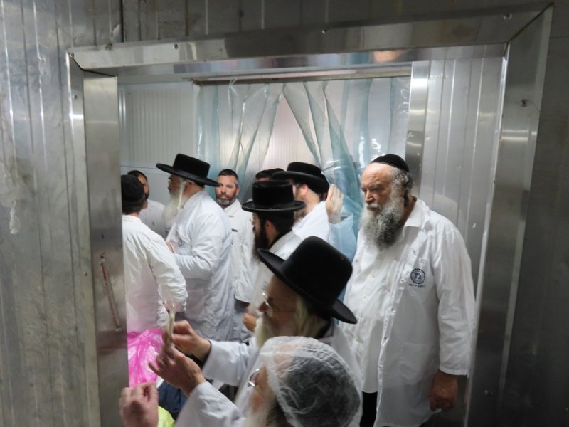 שלומי טריכטר