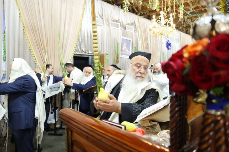 שלומי טריכטר ומ.פ