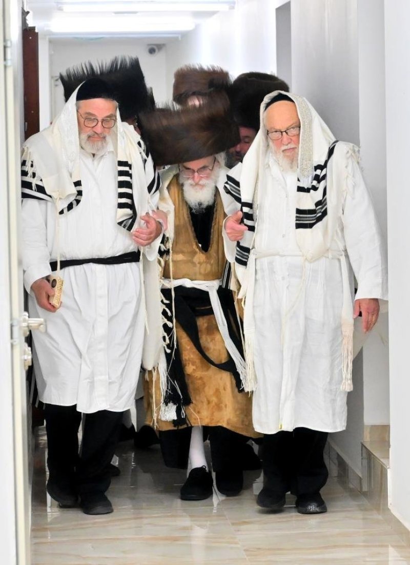 יהושע פרוכטר