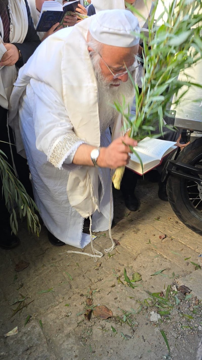 שלומי טריכטר ומ.פ