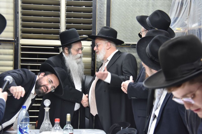 יהודה פרקוביץ