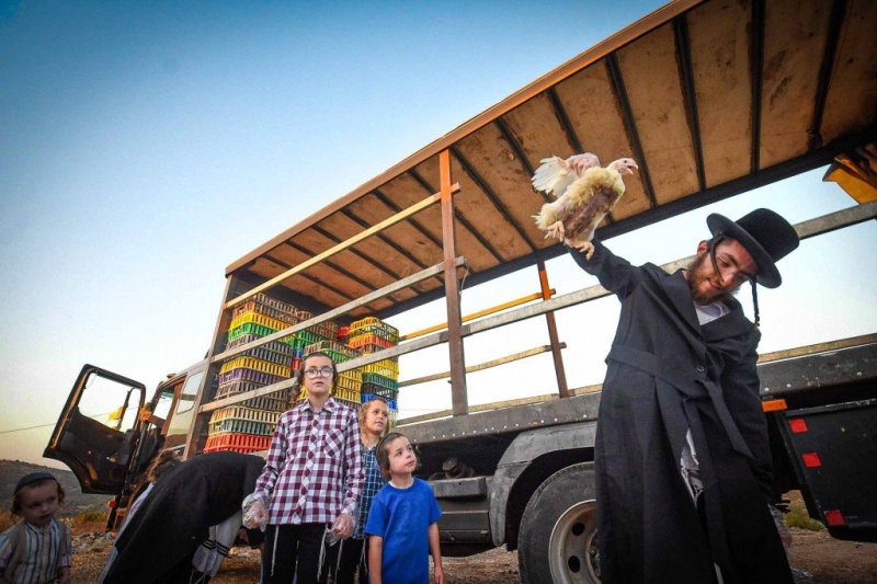 ארי קופרשטוק