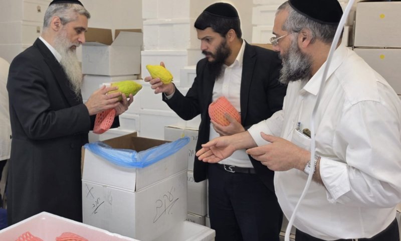 מהדר במצוות בחג הסוכות? ה'יהלום' שלך מחכה לך ב'מקלט'