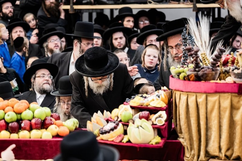 בחצרות סאטמר