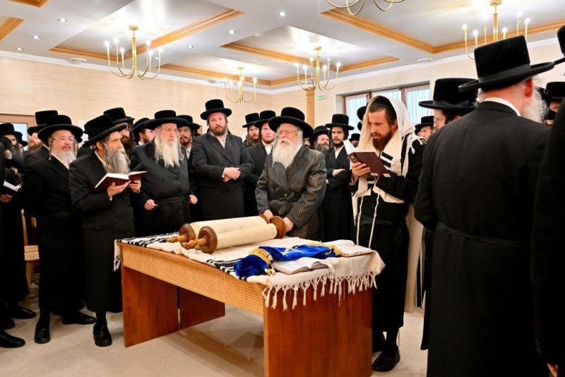 יהושע פרוכטר