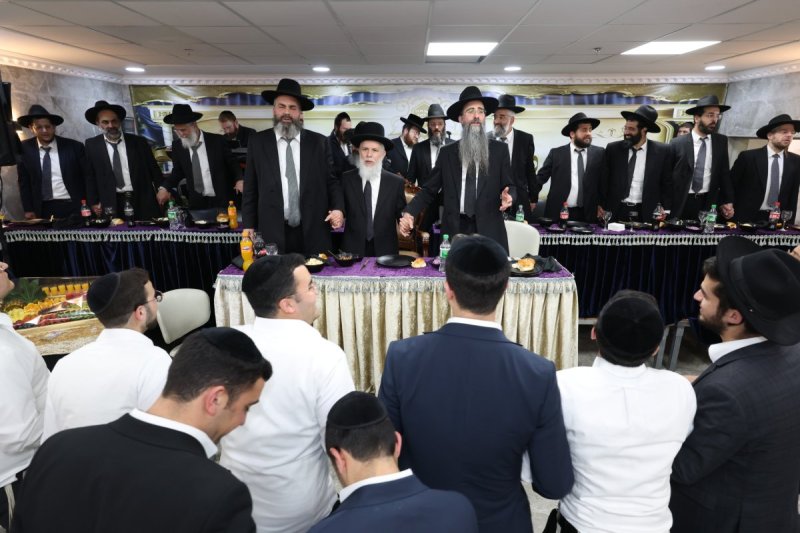 יעקב כהן ואלי קובין