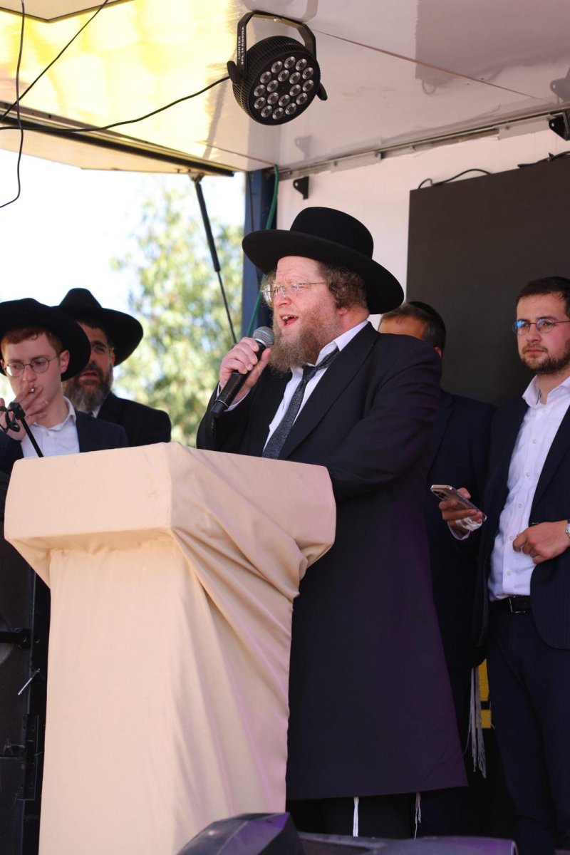 דניאל נפוסי