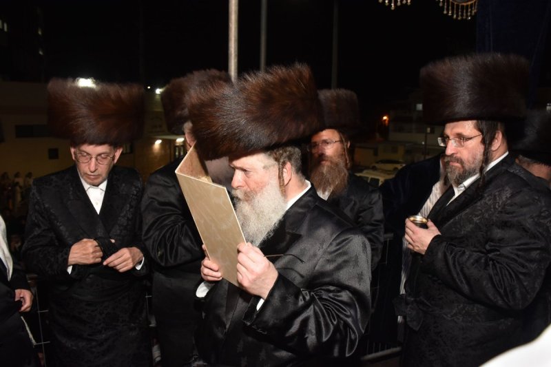 יהודה פרקוביץ