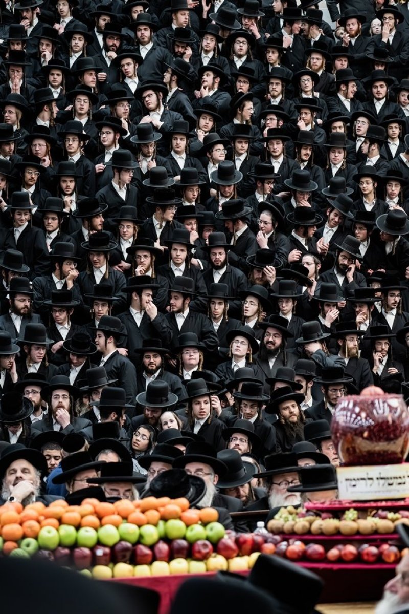 בחצרות סאטמר