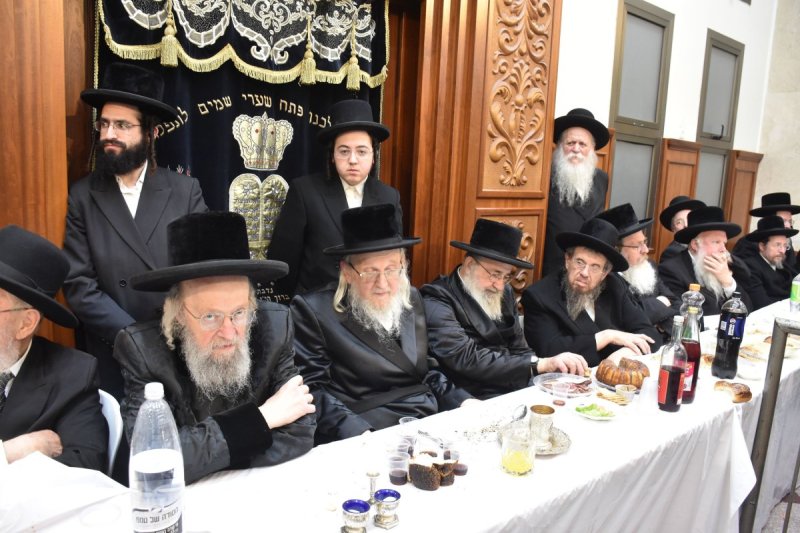 יהודה פרקוביץ