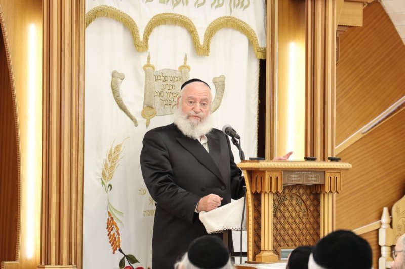 שלומי טריכטר