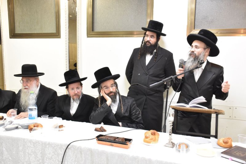 יהודה פרקוביץ