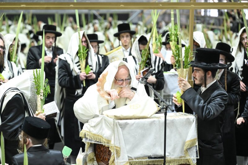 משה גולדשטיין