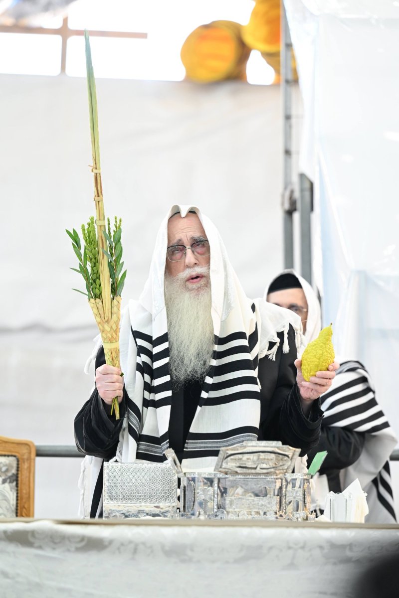 משה גולדשטיין