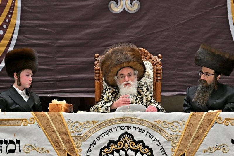 יהושע פרוכטר