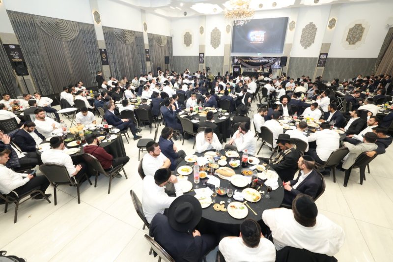 קובי הר צבי