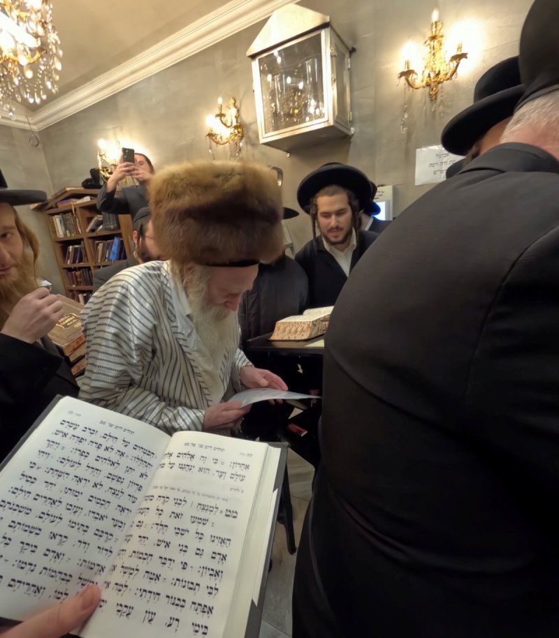 באדיבות המצלם