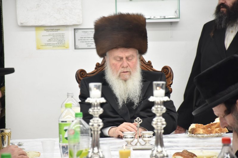 יהודה פרקוביץ