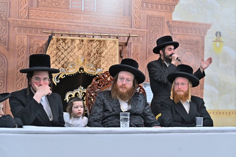 יהושע פרוכטר