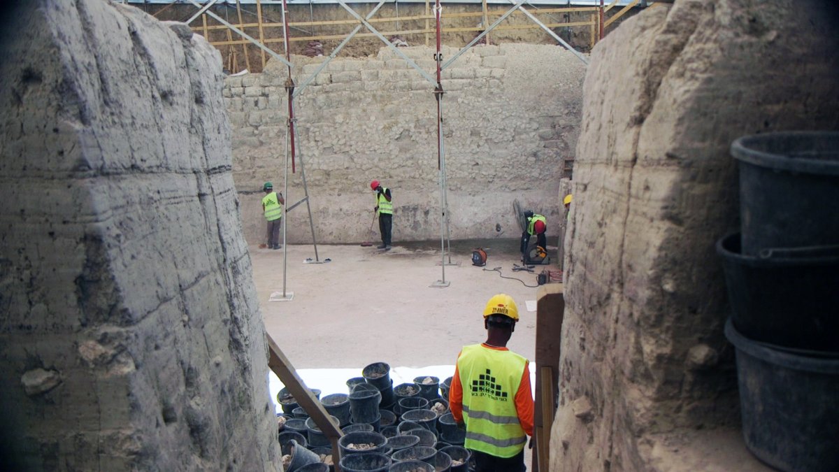 אמיל אלג'ם, רשות העתיקות