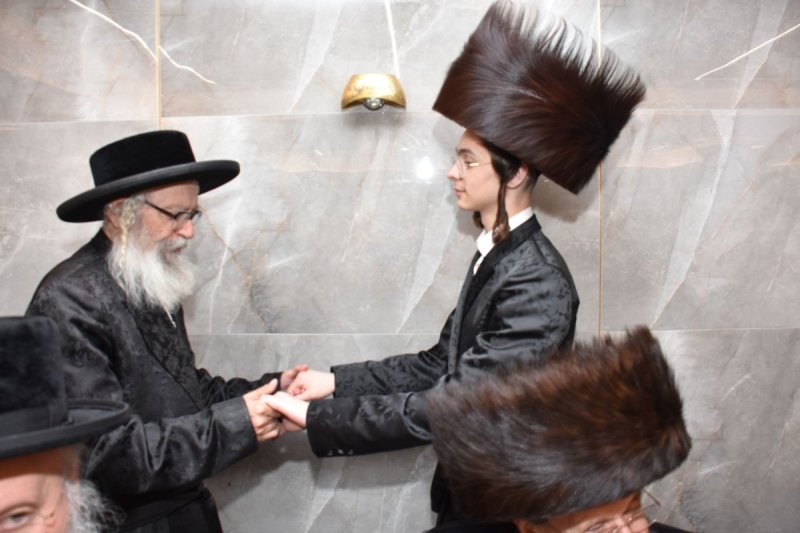 יהודה פרקוביץ