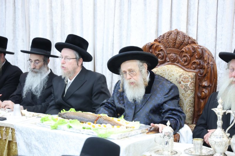 שלומי טריכטר