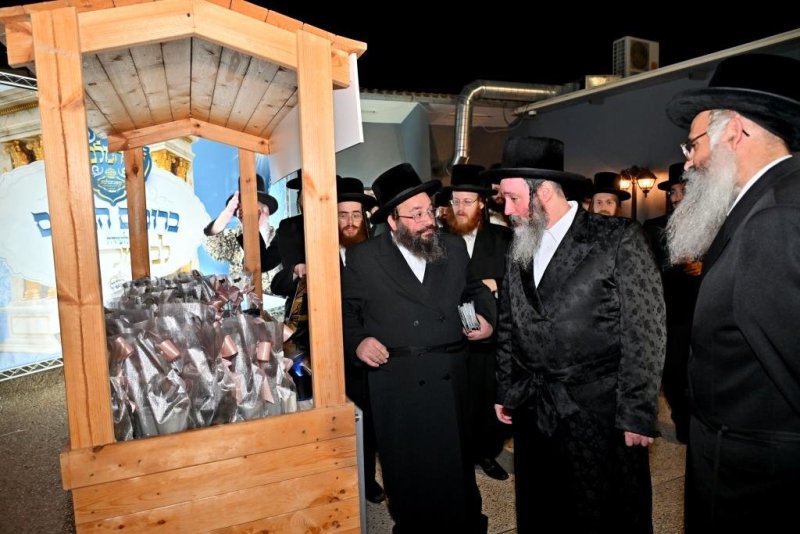 יהושע פרוכטר