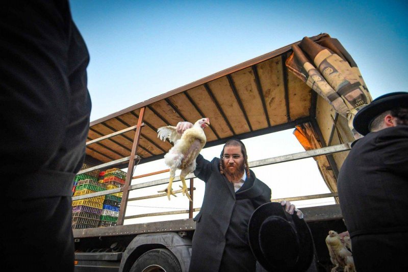 ארי קופרשטוק