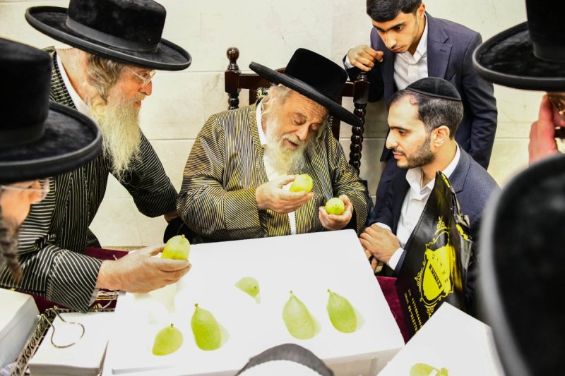 שוקי לרר