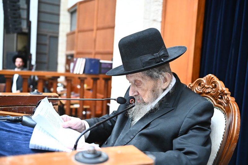שוקי לרר