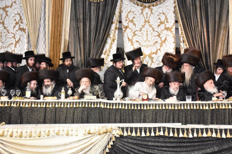 יהודה פרקוביץ