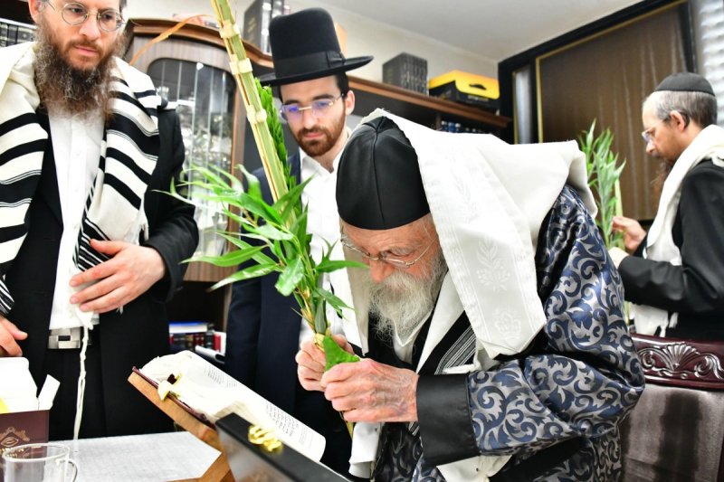 שוקי לרר