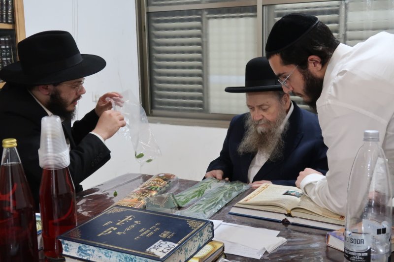י. פריד