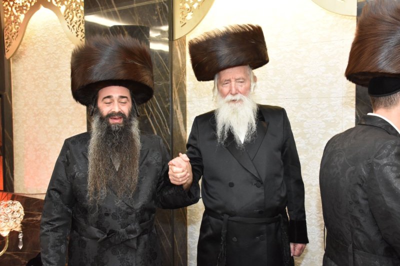 יהודה פרקוביץ