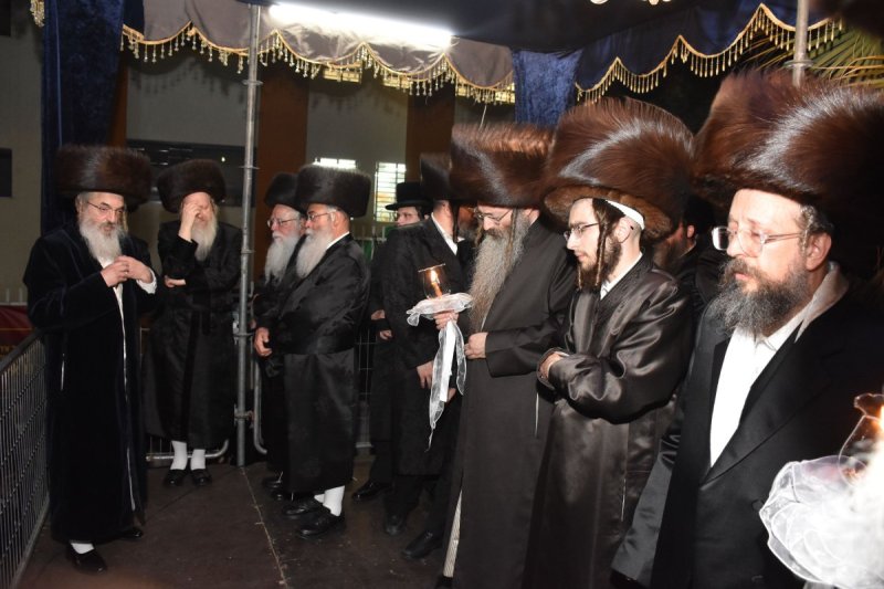 יהודה פרקוביץ