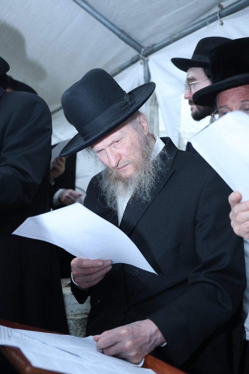 שלומי טריכטר